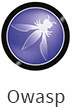 owasp development